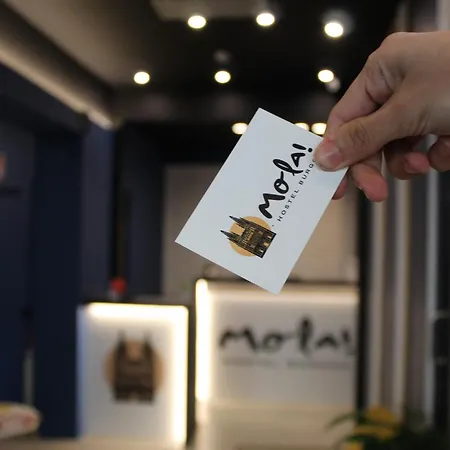 بيت شباب Mola!